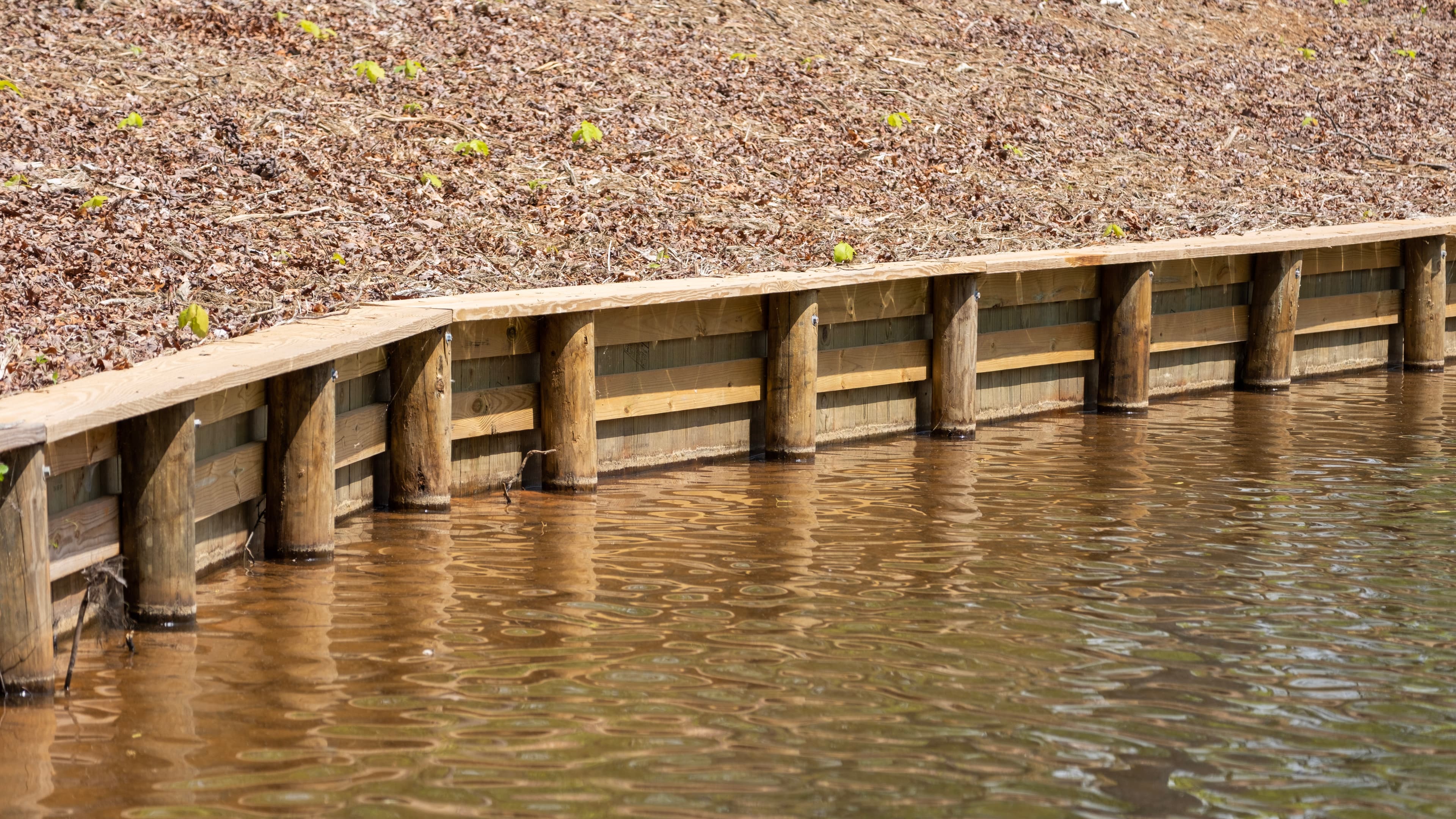 Shoreline Development